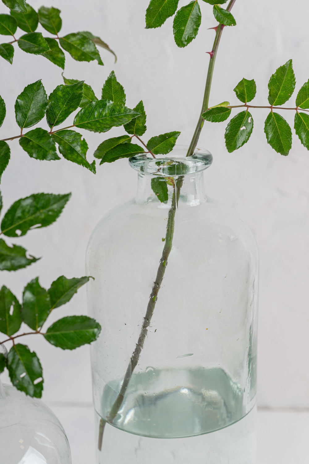 Florero Margarita
